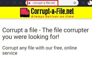 go to corrupt file website