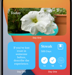 Day one Journal app widget